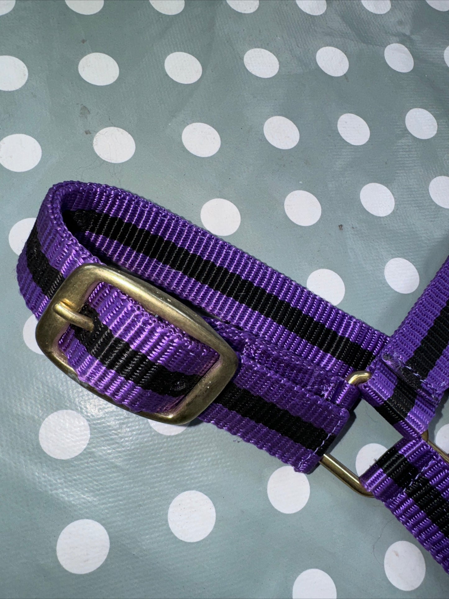 Purple New Cob Headcollar