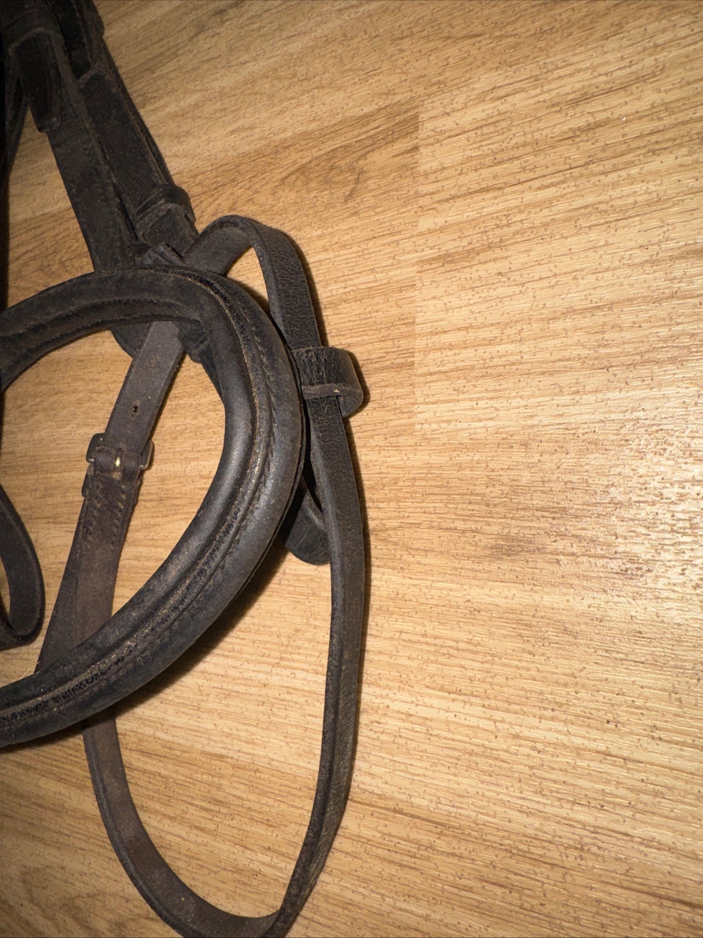 English Leather Black Size Cob Flash Bridle #30 Second Hand Horse Tack