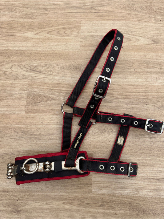 Cottage Craft Size Pony Lunging Cavesson | Second Hand Horse Tack #34