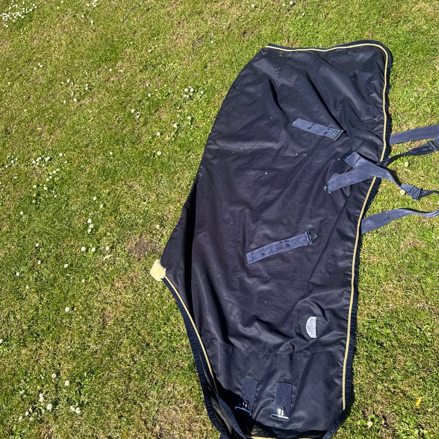 Equi Theme Navy Cotton Rug 6’6 Summer Stable Travel