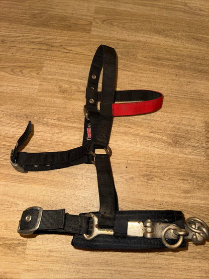 Eclipse Pony Lunging Cavesson Training Aid Second Hand Horse Tack #1