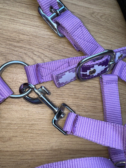 Polo Purple Headcollar