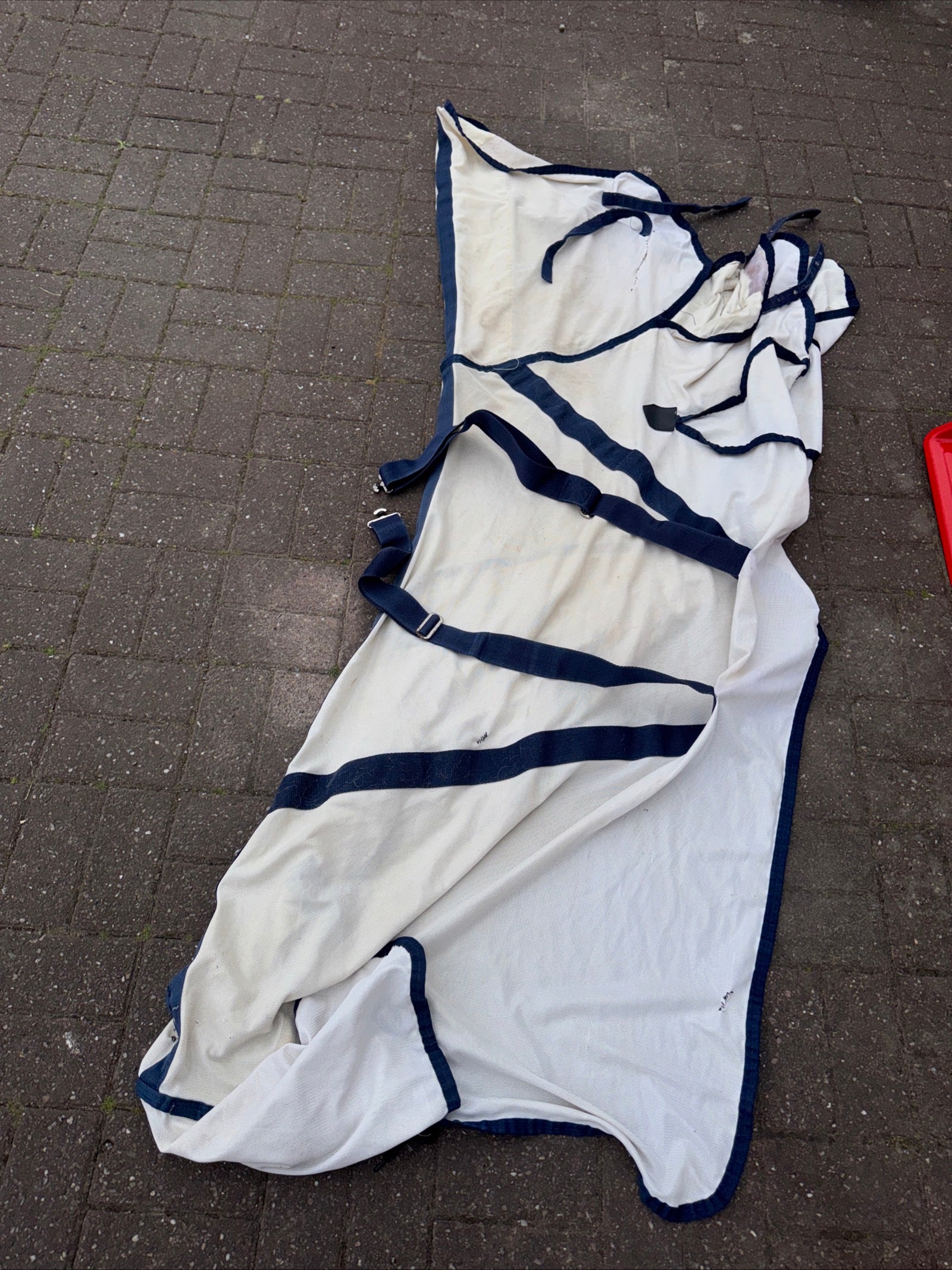 Masta 5’9 Fly Rug - Free Postage