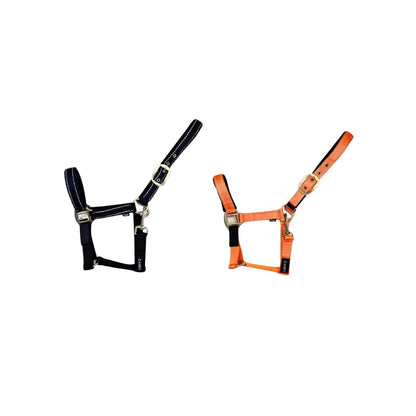 Cameo Field Safe Headcollar