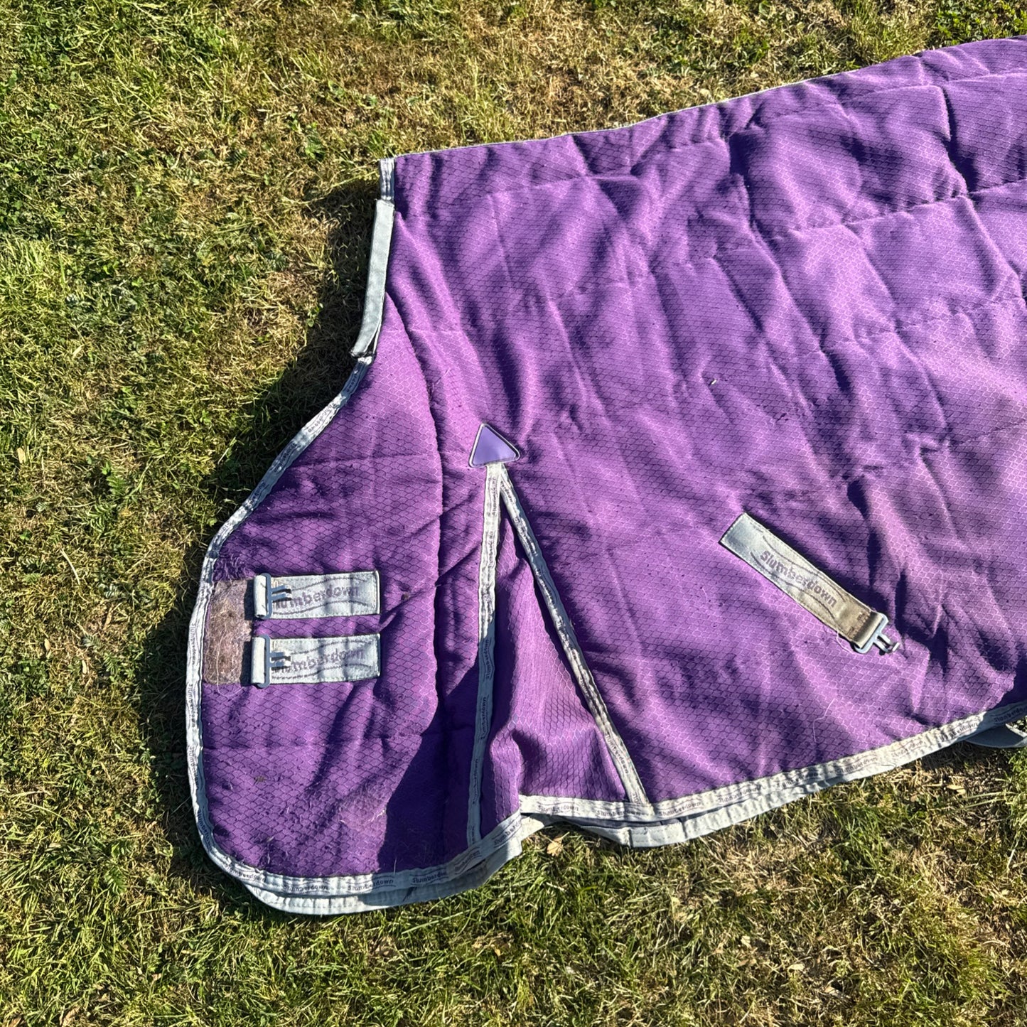 Slumberdown 300gm Purple 5’6 Stable Rug - Free Postage
