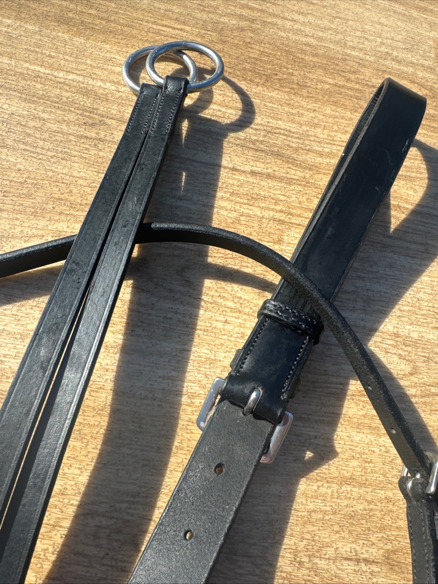 English Black Full Size Running Martingale #11