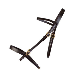 Cameo Inhand Bridle & Lead