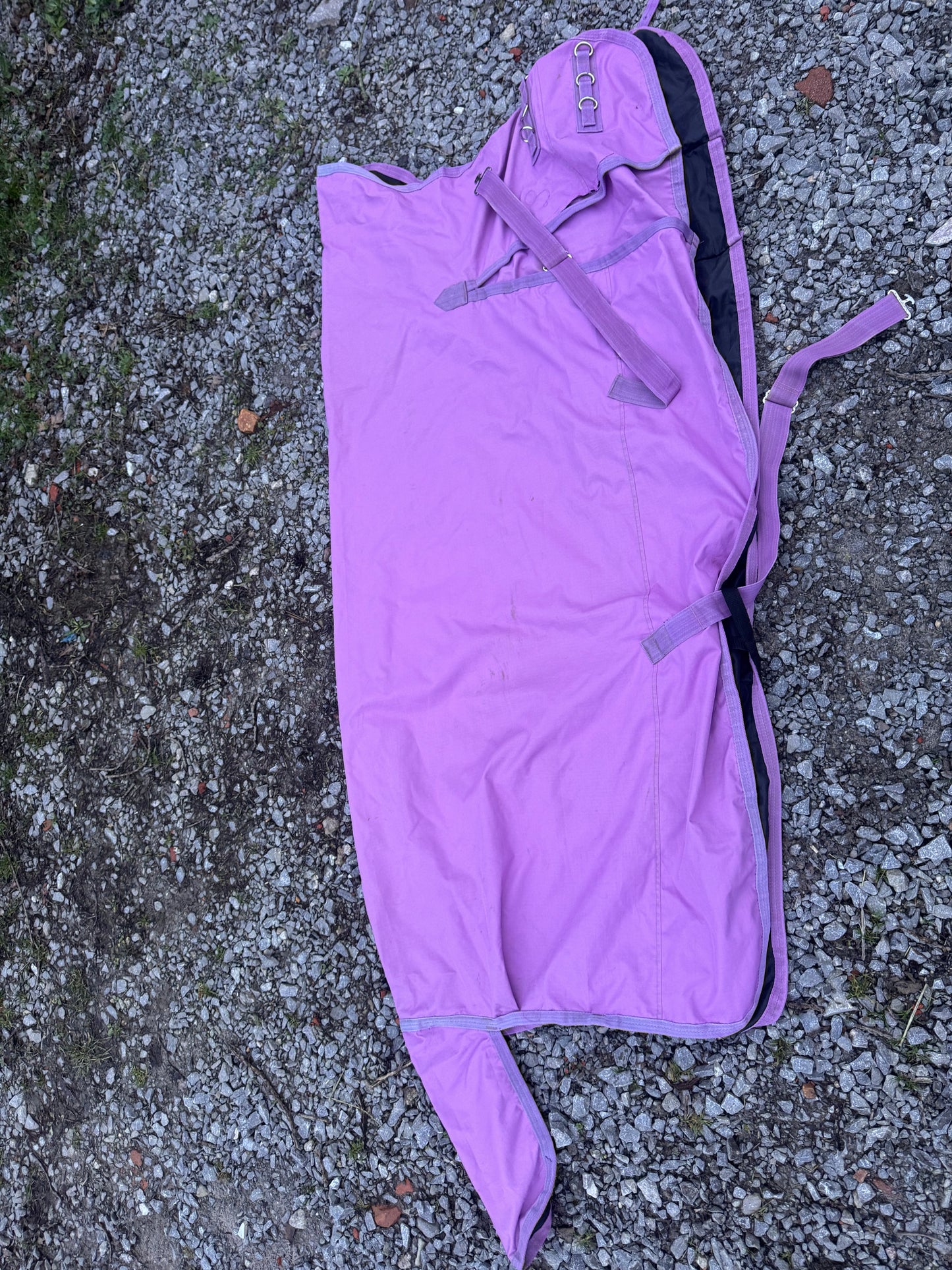Hillman Equestrian Purple 6ft No Full Half Neck Turnout Rug | 0g Waterproof