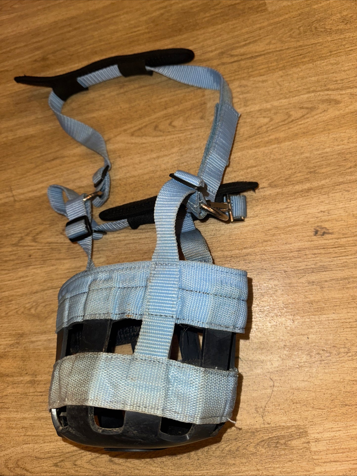 Baby Blue Pony Size Grazing Muzzle - Laminitis Obese #3