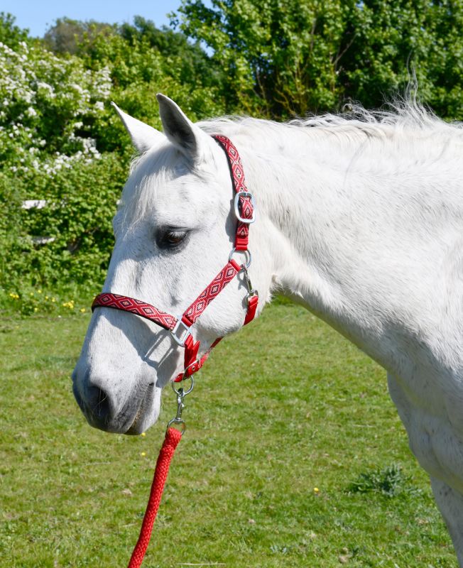Rhinegold Padded Diamond Pattern Headcollar And Lead Rope Set