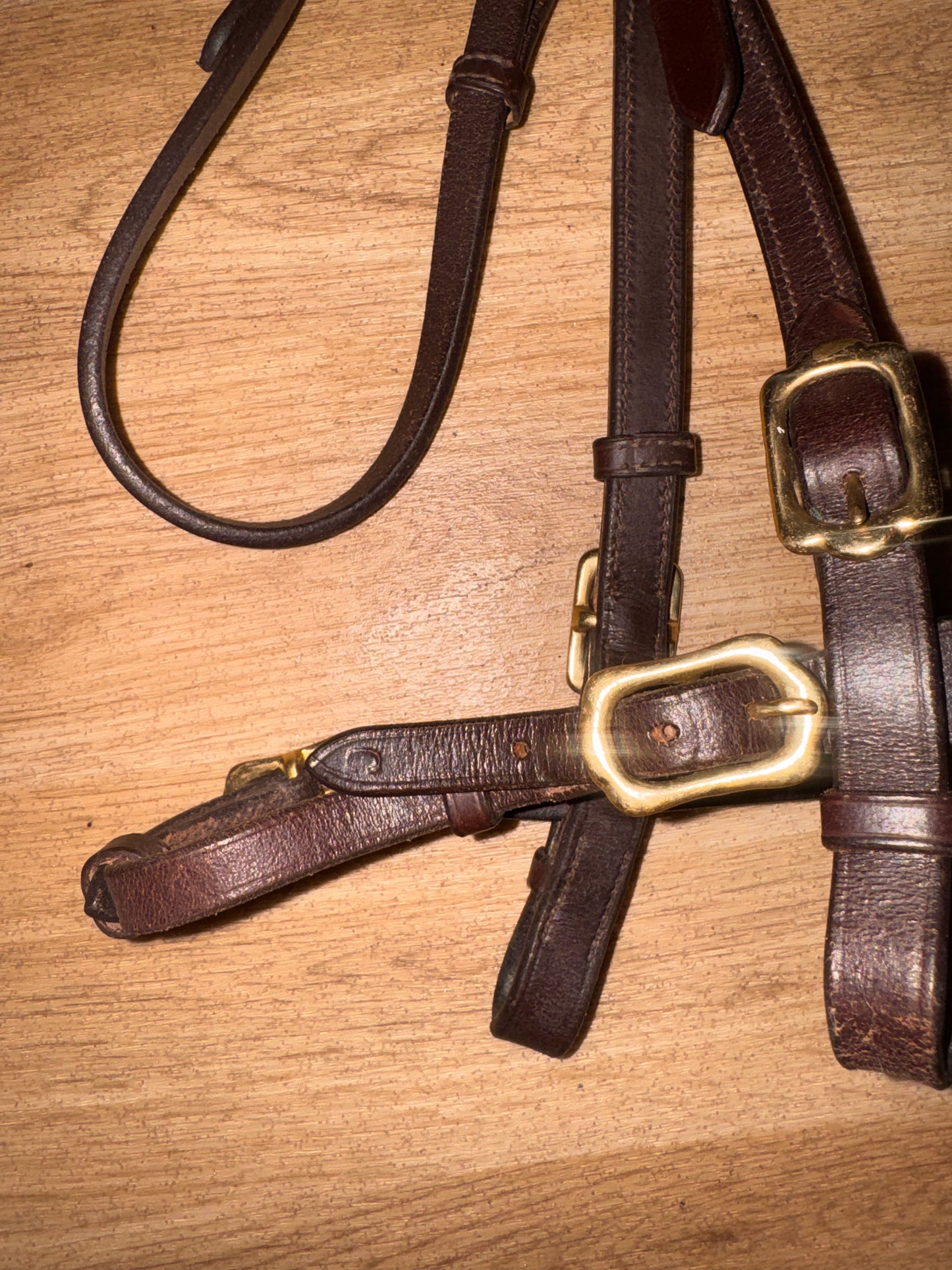Shires Size Cob Brown Inhand Bridle #10 Showing Show Flat Noseband Hunter