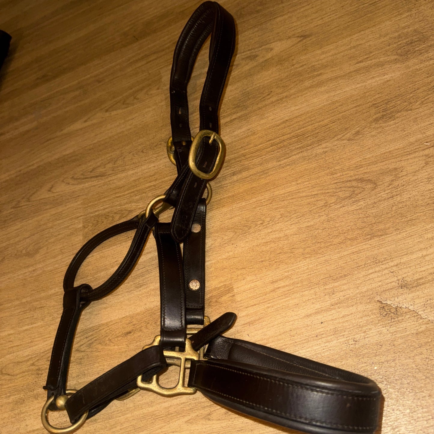 Havana English Leather Heavy Duty Cob Headcollar Brass Replaceable Nameplate