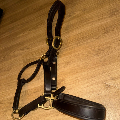 Havana English Leather Heavy Duty Cob Headcollar Brass Replaceable Nameplate