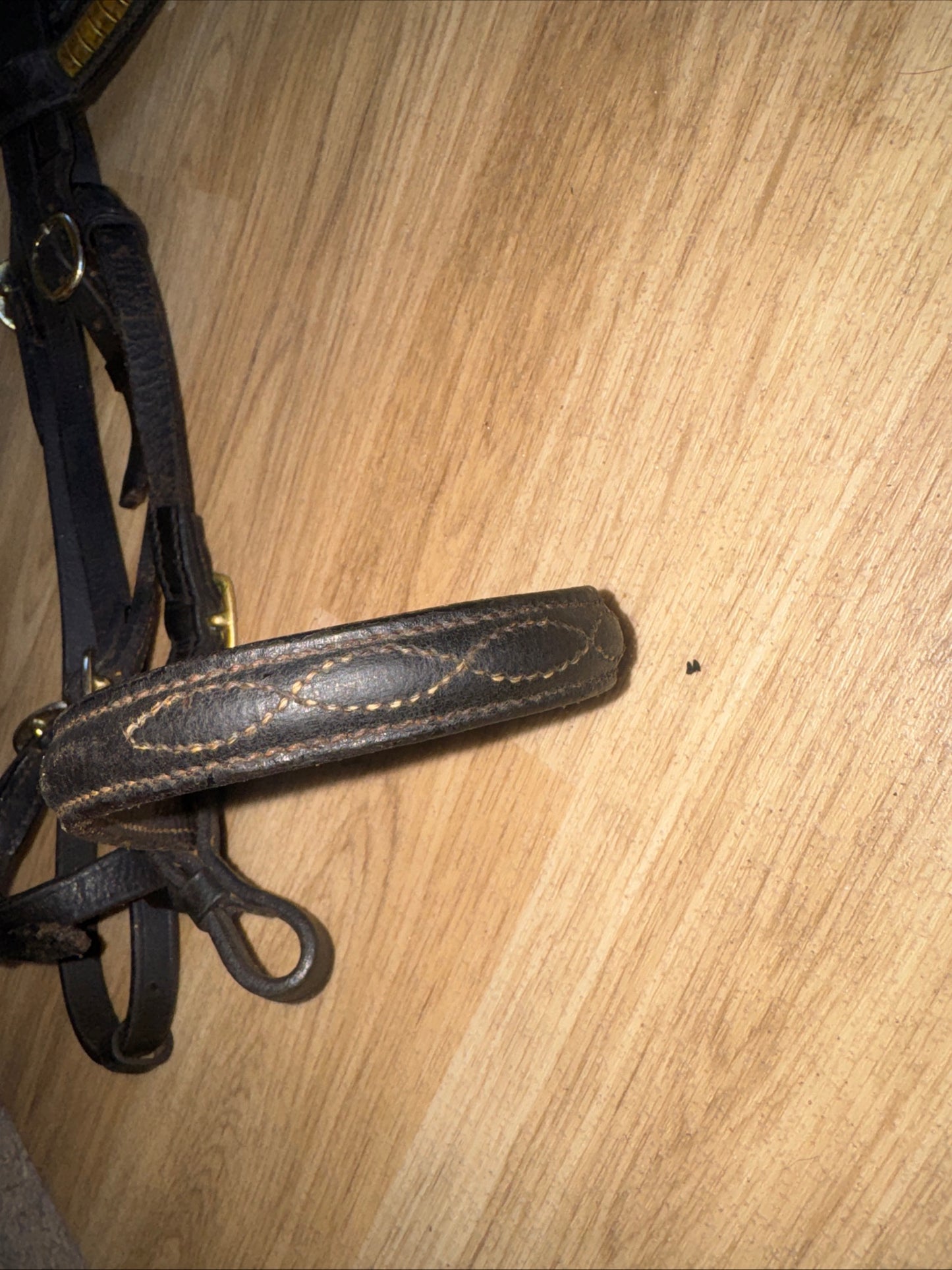 Black Brass Clencher Inhand Bridle Size Full | Second Hand Horse Tack #87