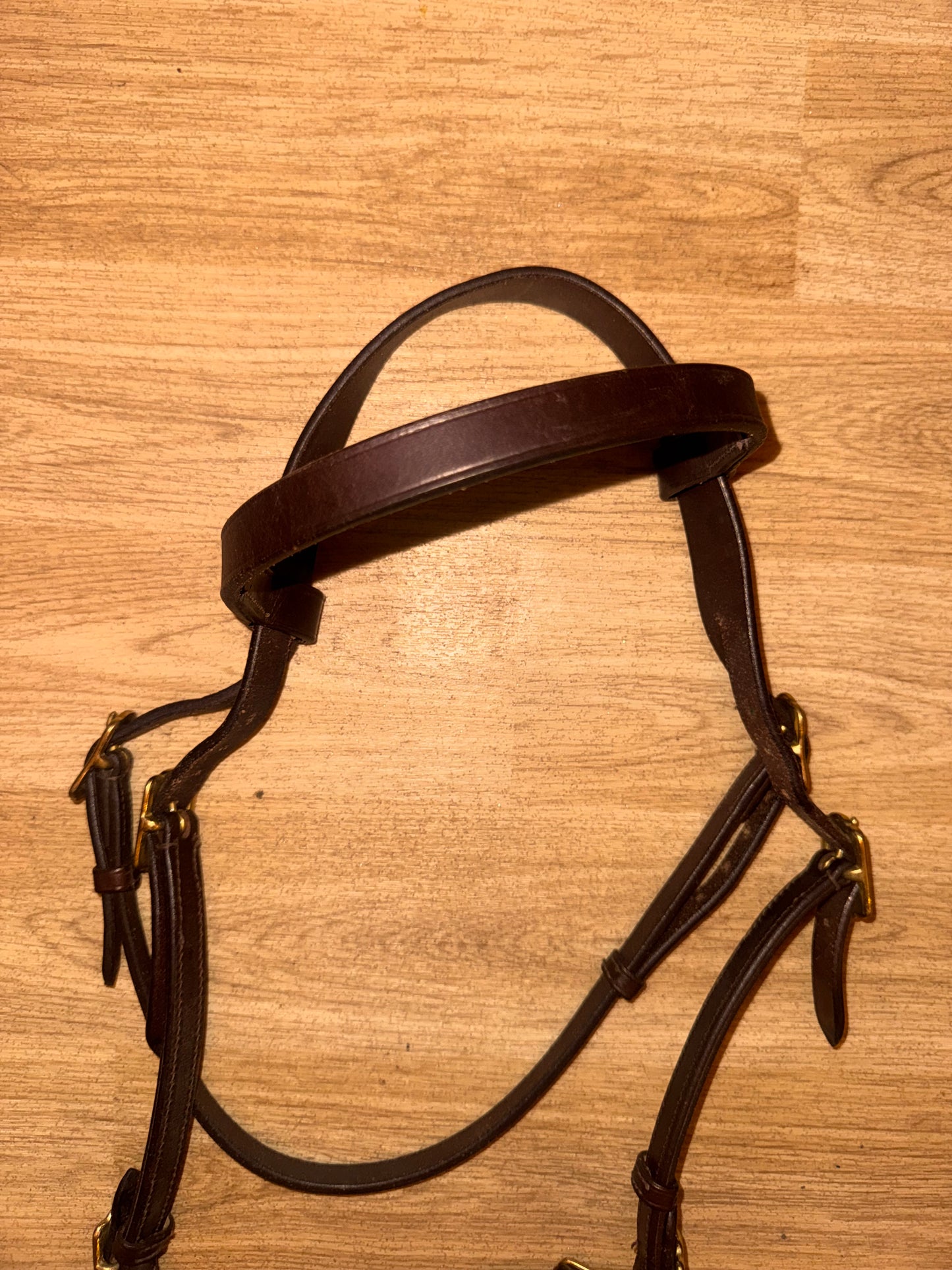Shires Size Cob Brown Inhand Bridle #10 Showing Show Flat Noseband Hunter