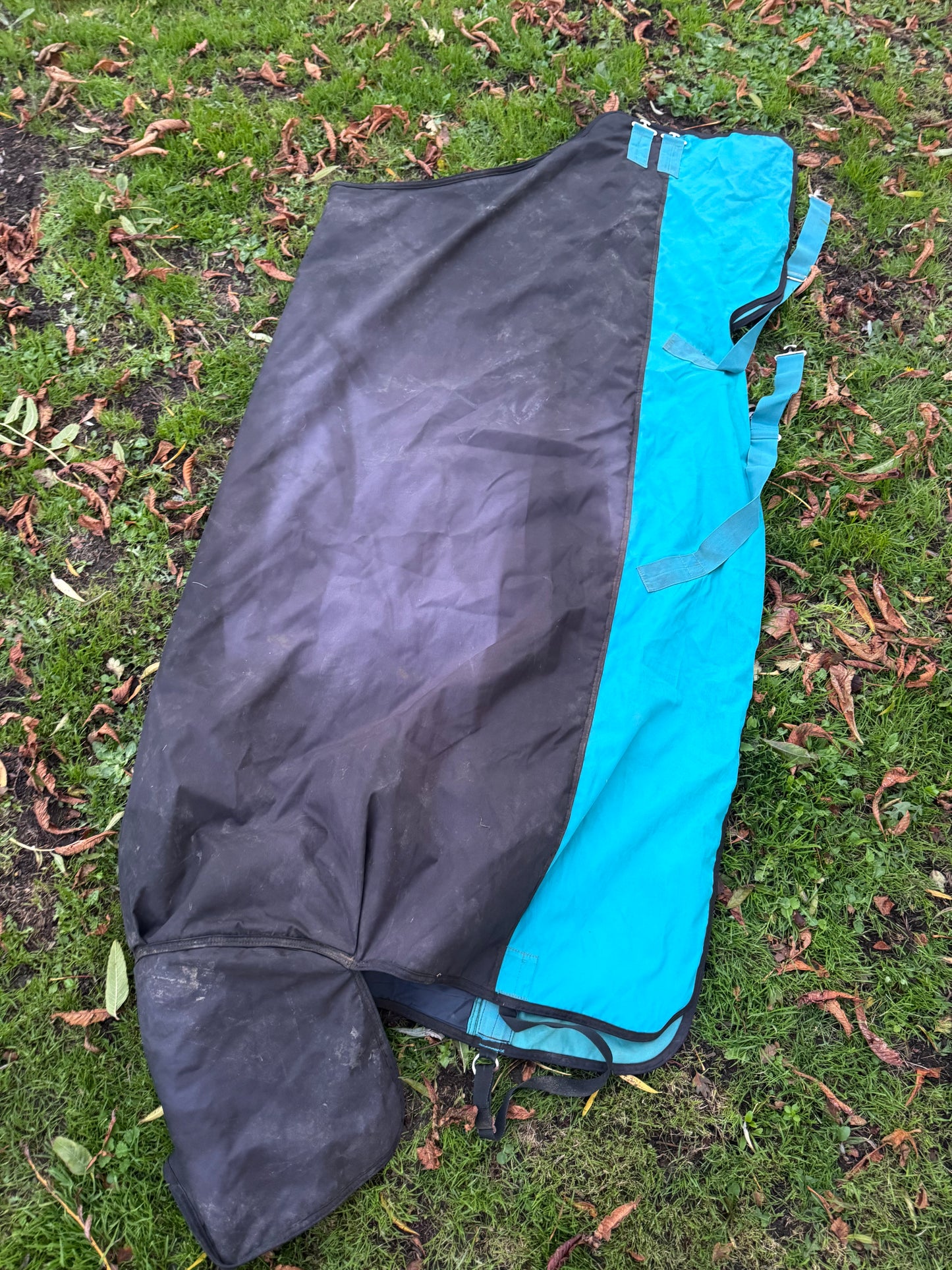 Amigo 6’3 200gm Turnout Rug