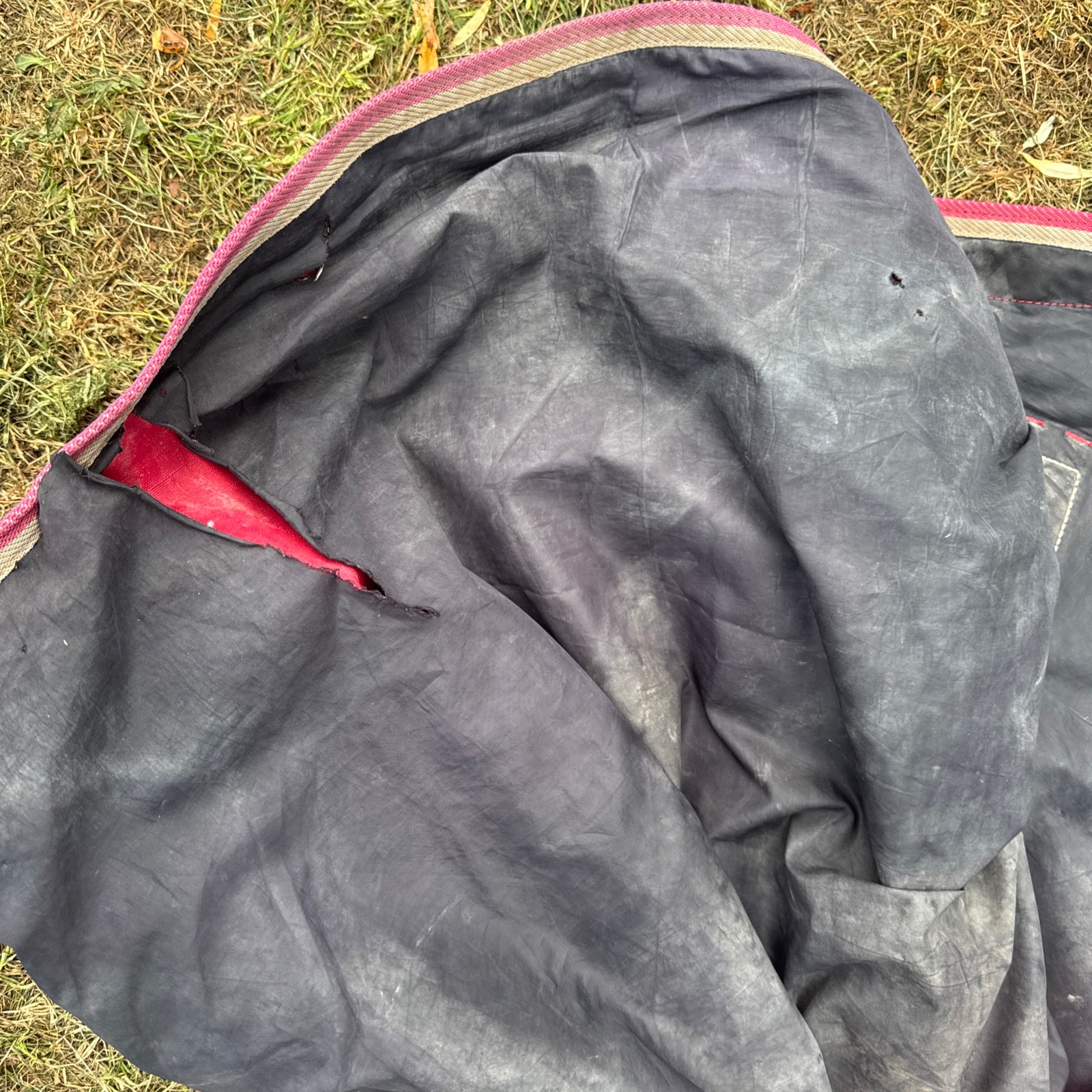 Shires Tempest 6’9 No Fill Turnout Combo Rug