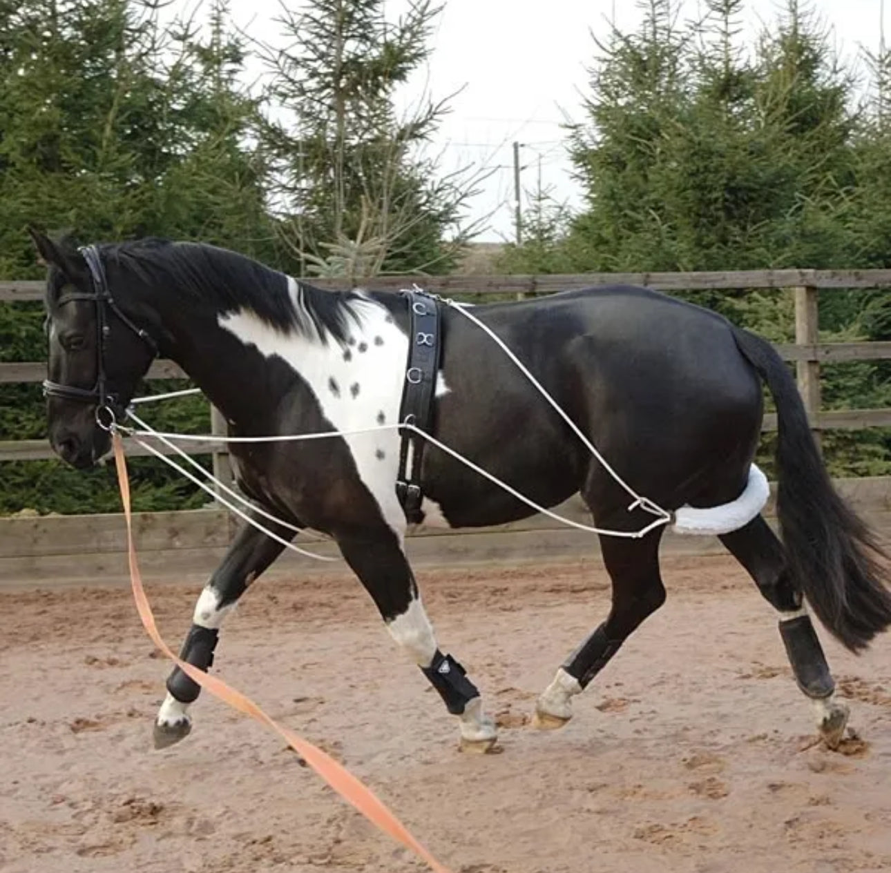 Gfs Training Aid