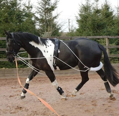 Gfs Training Aid
