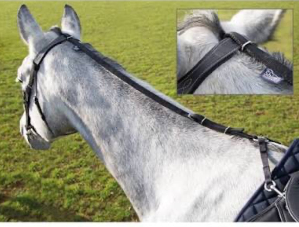 Shires Nylon Daisy Rein Black .
