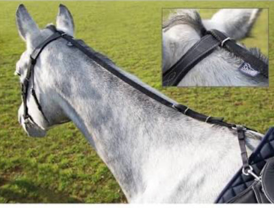 Shires Nylon Daisy Rein Black .
