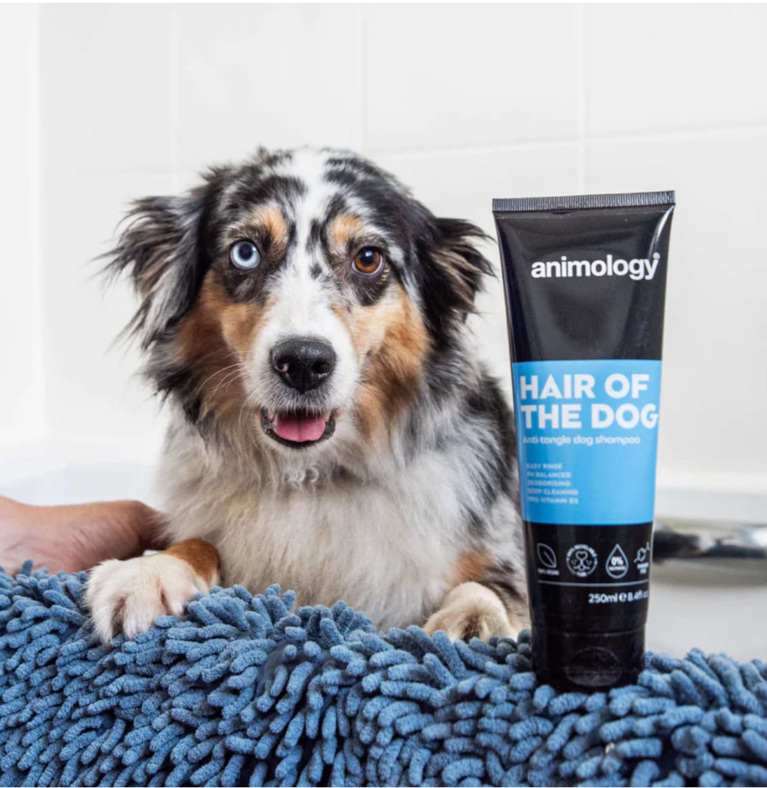 Hair of the Dog Anti-Tangle Dog Shampoo 250ml
