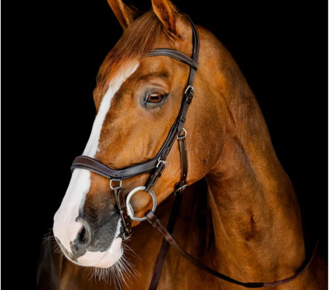 Horseware Micklem Competition Bridle