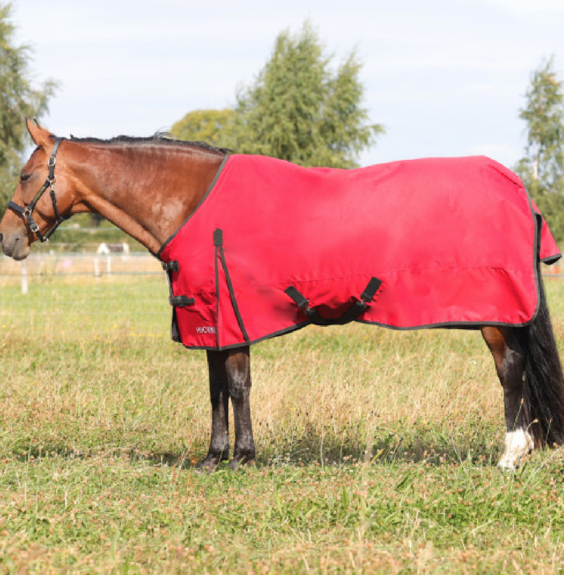 HyCONIC 50g Turnout Rug - 7’3