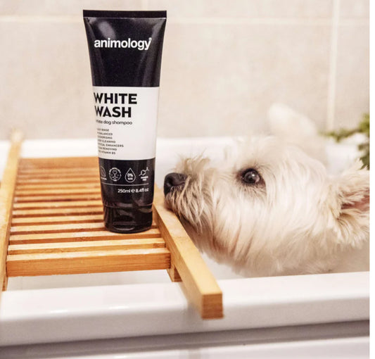 Animology White Wash Dog Shampoo 250ml