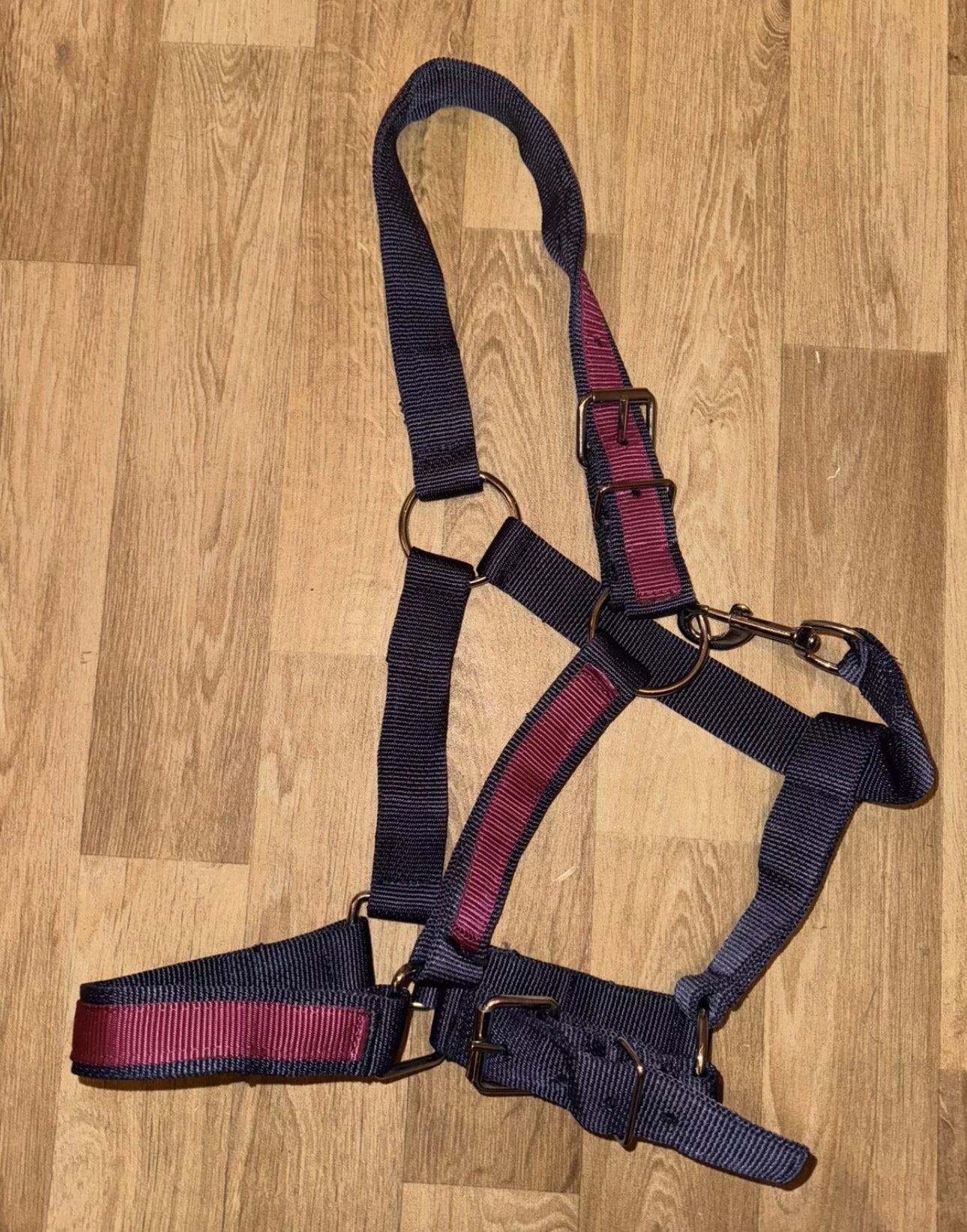 Heavy Duty Draft Headcollar - Shire Clydesdale Percheron - Navy/Burgandy or Red/Navy