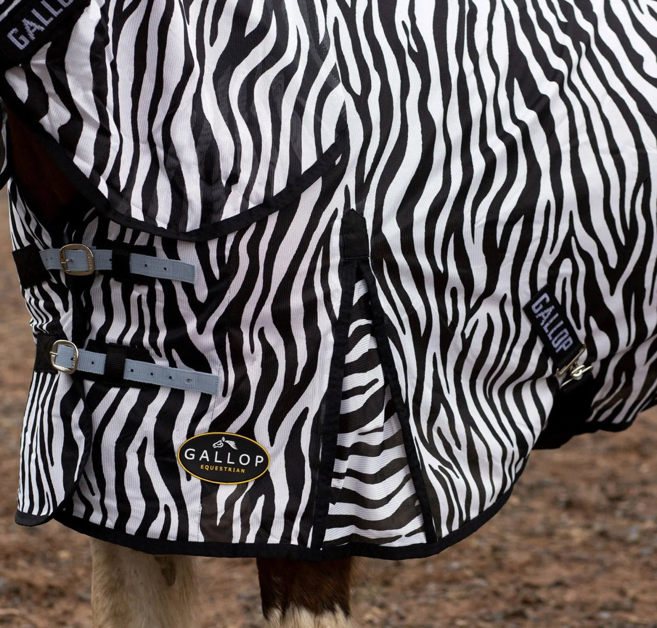 Gallop Zebra Fly Combo Rug