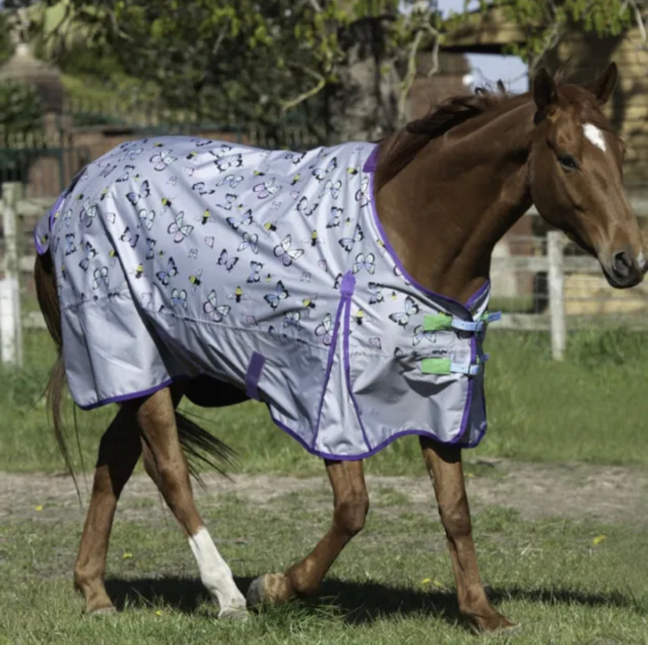 Gallop Bees & Butterflies Turnout Rug