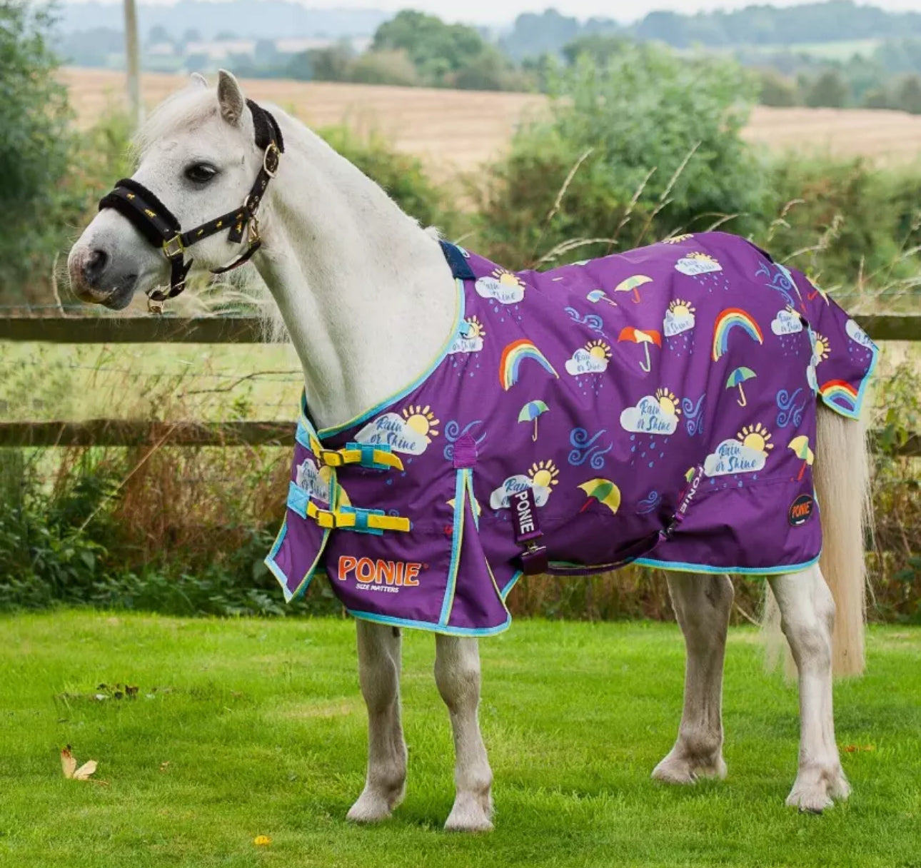 Gallop Ponie Rain or Shine 50g Dual Rug & Neck Turnout Set 4’0