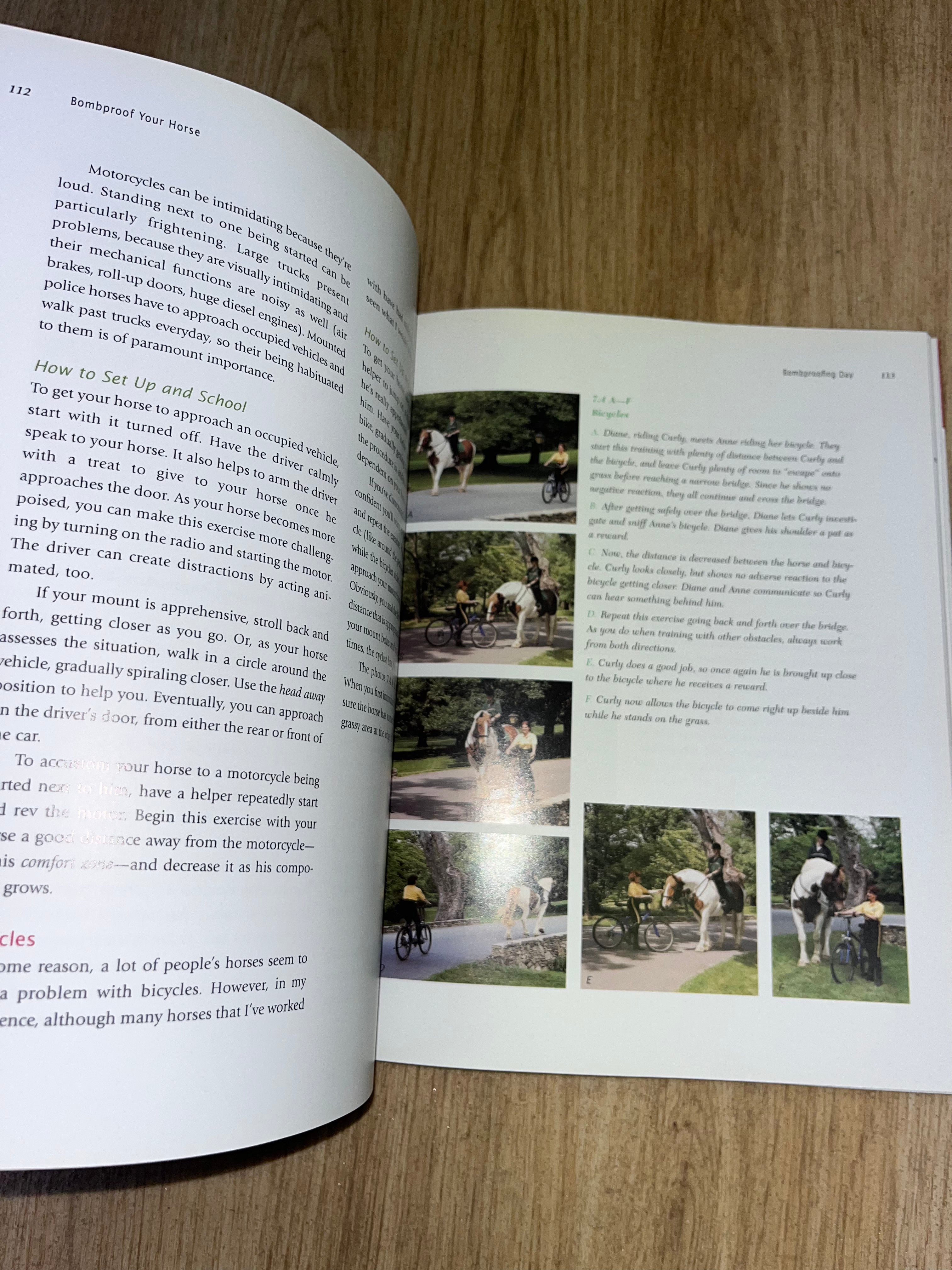 Bombproof Your Horse By SGT Rick Pelicano