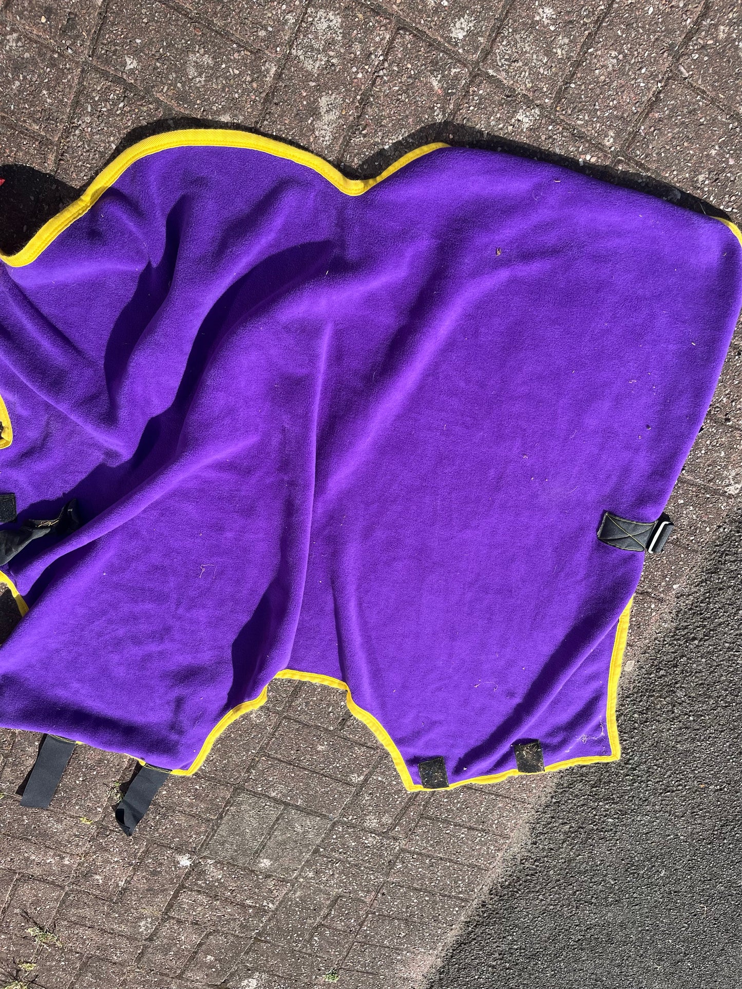Foal Fleece Rug 3’9