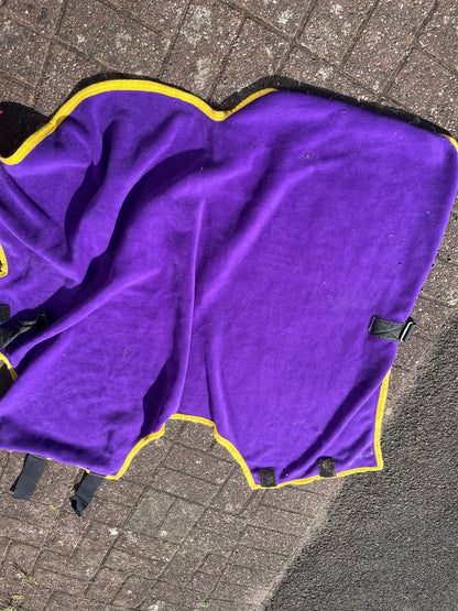 Foal Fleece Rug 3’9