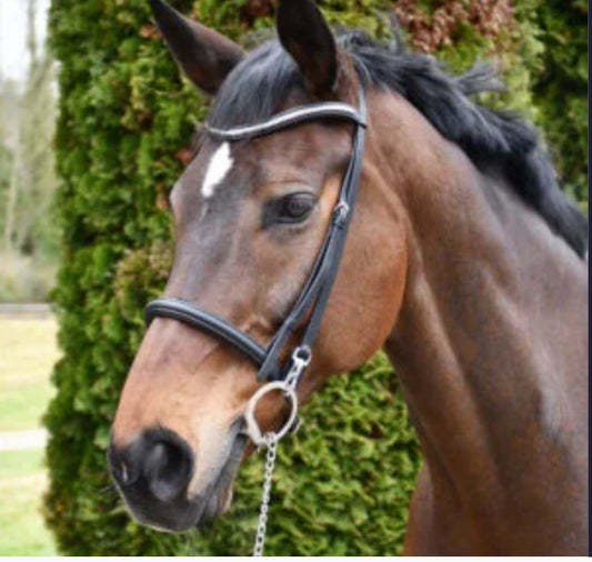 Rhinegold Veneto Leather Show Bridle With Clincher Browband