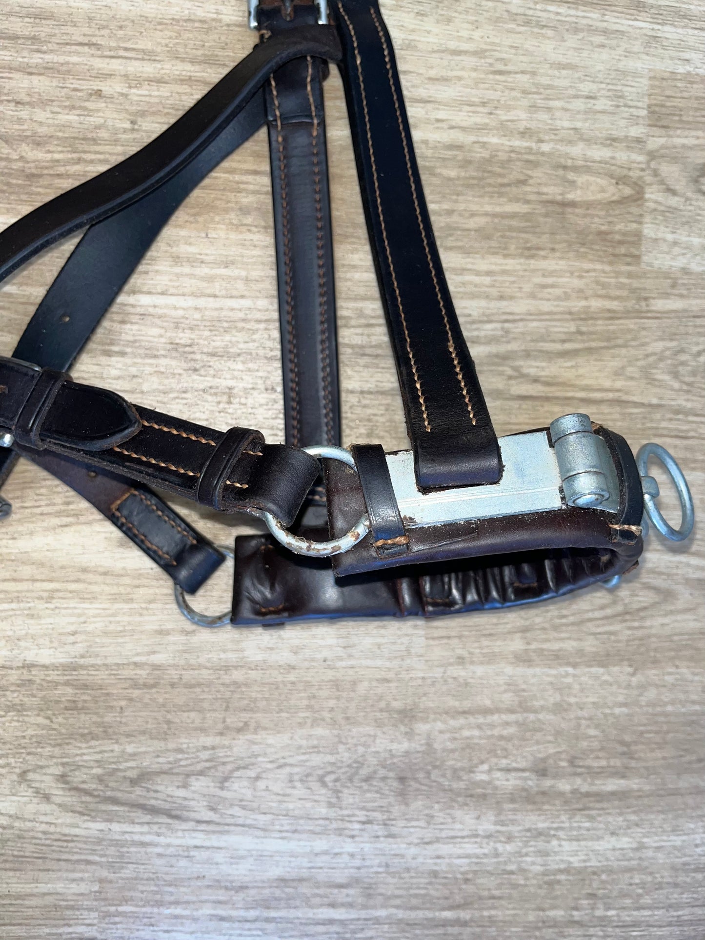 Leather Cavesson Full