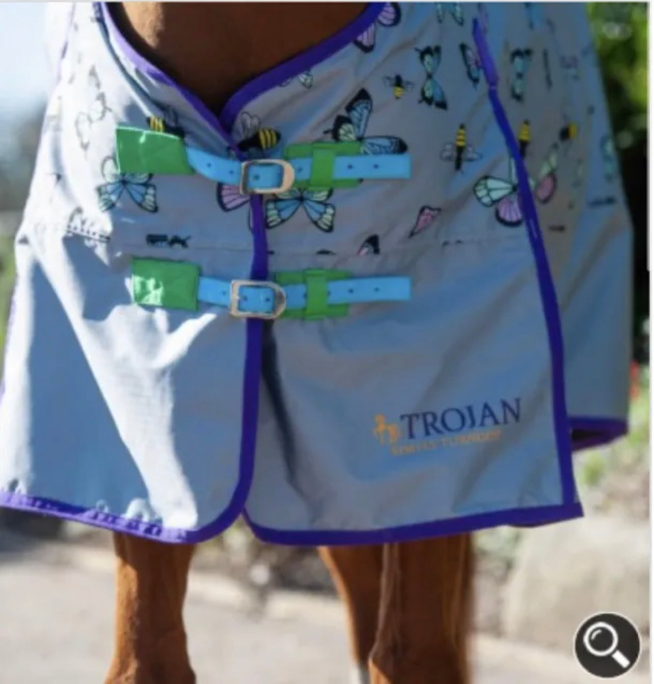 Gallop Bees & Butterflies Turnout Rug