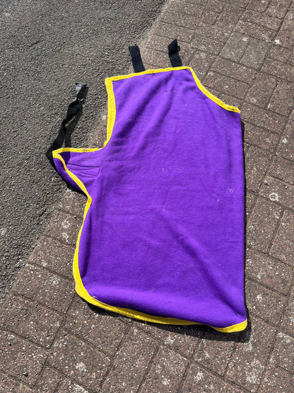 Foal Fleece Rug 3’9