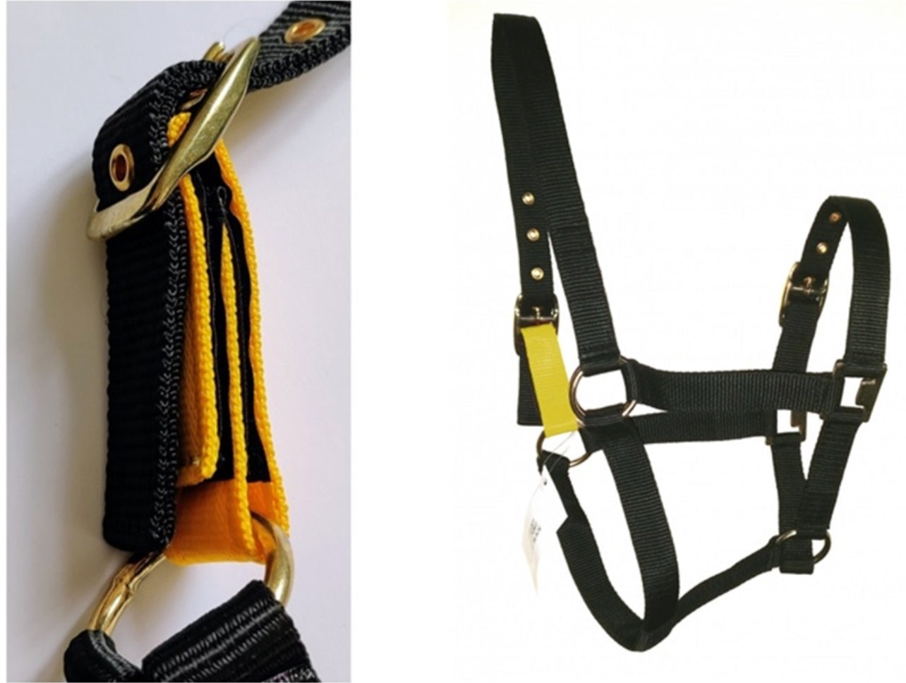 Fieldsafe Headcollar