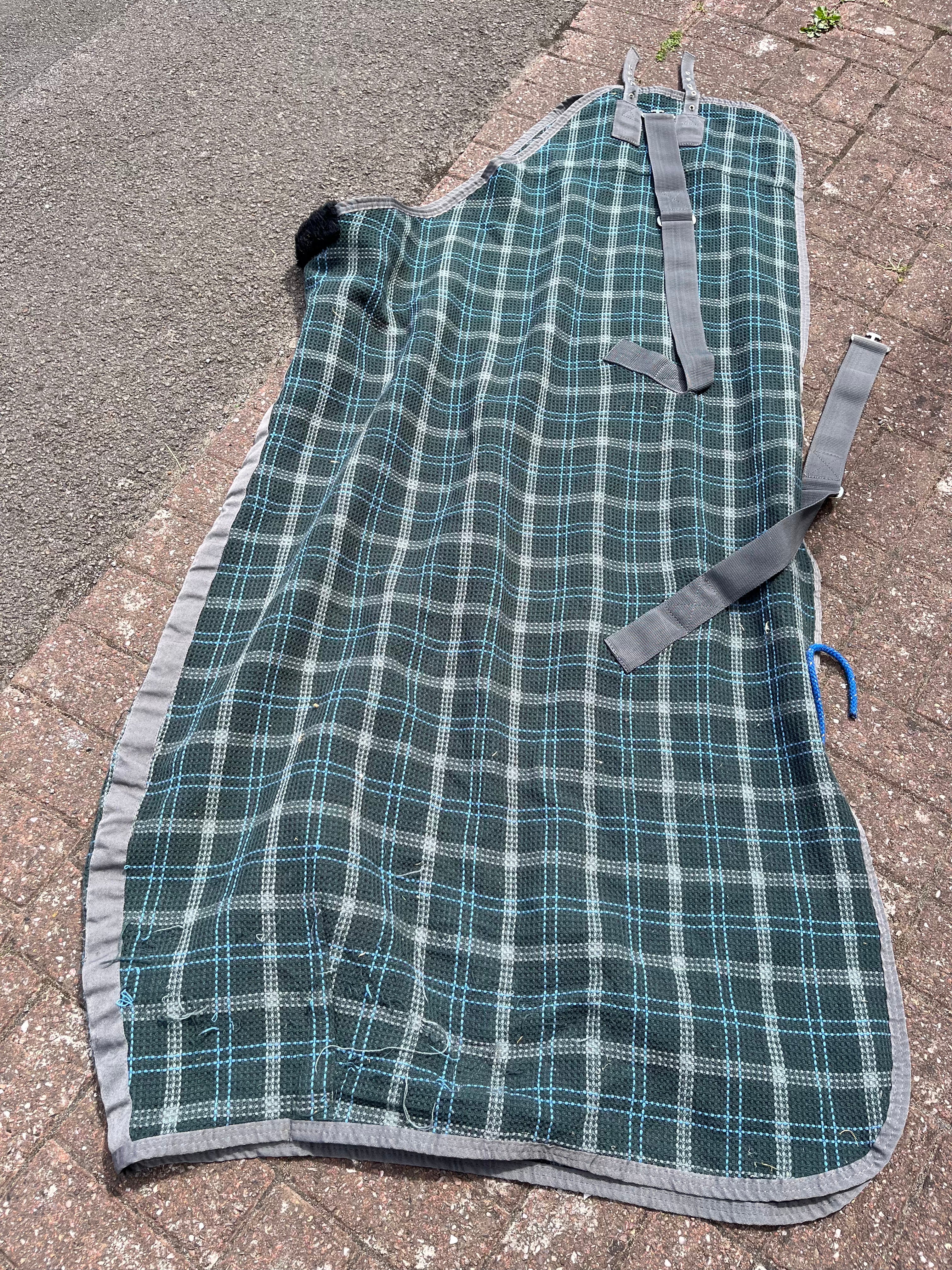 Masta Waffle Cooler 5’9