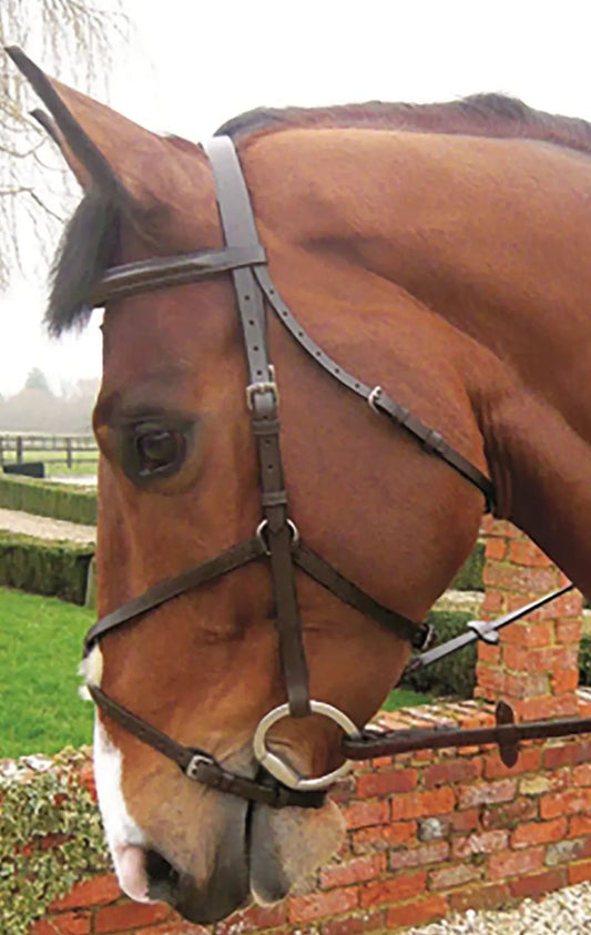 JHL Grackle Bridle & Reins