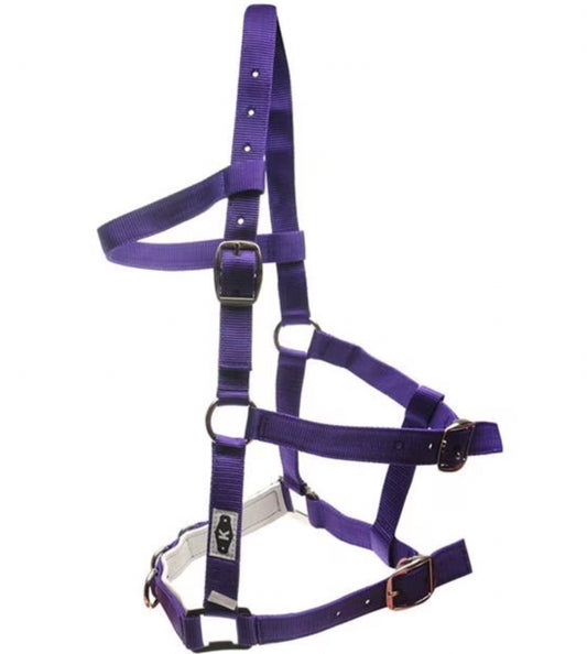Kincade Purple Lunging Cavason
