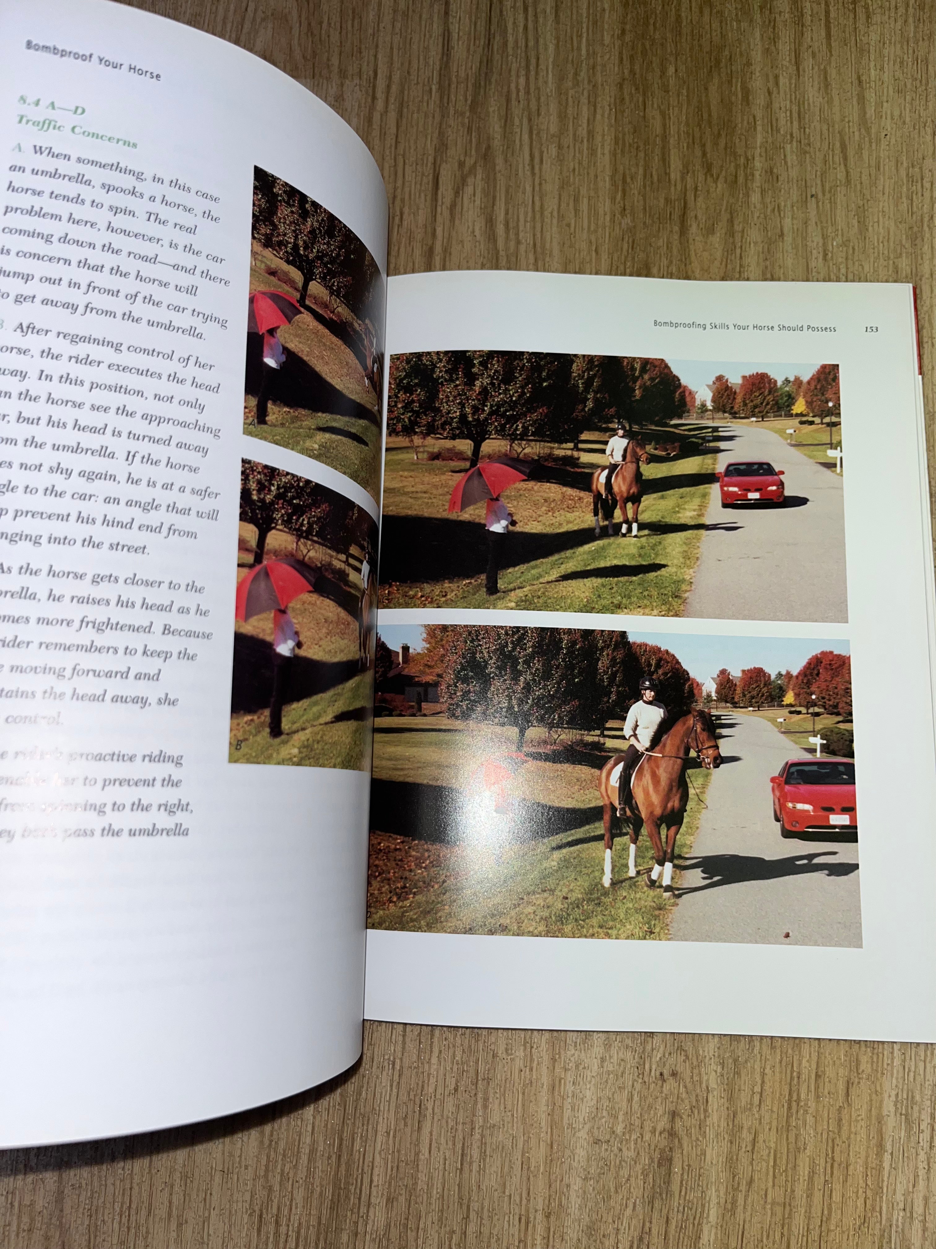 Bombproof Your Horse By SGT Rick Pelicano