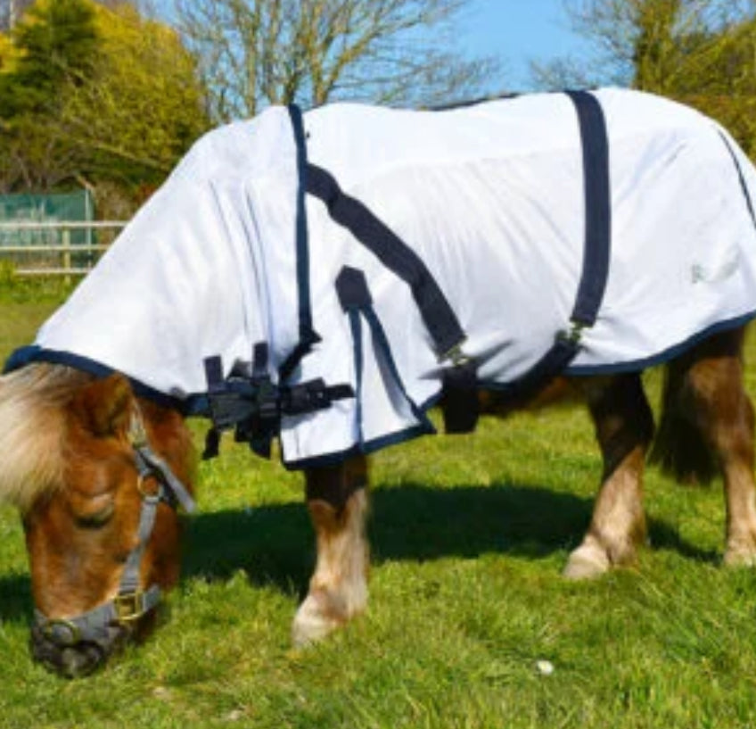 Rhinegold Mini Fly Rug with detachable neck cover .