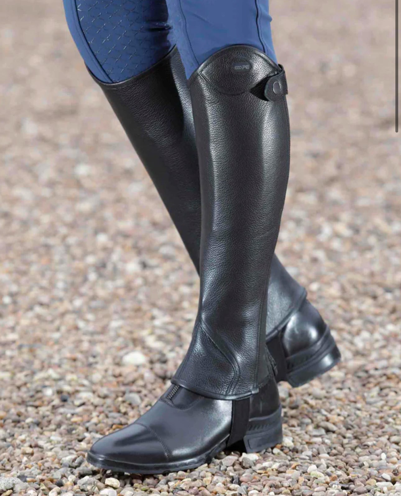 Premier Equine Loros Junior Leather Half Chaps