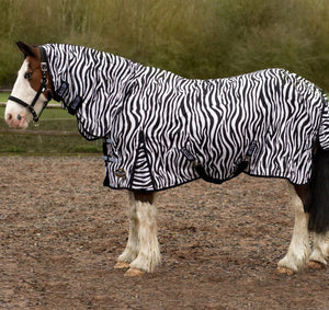 Gallop Zebra Fly Combo Rug