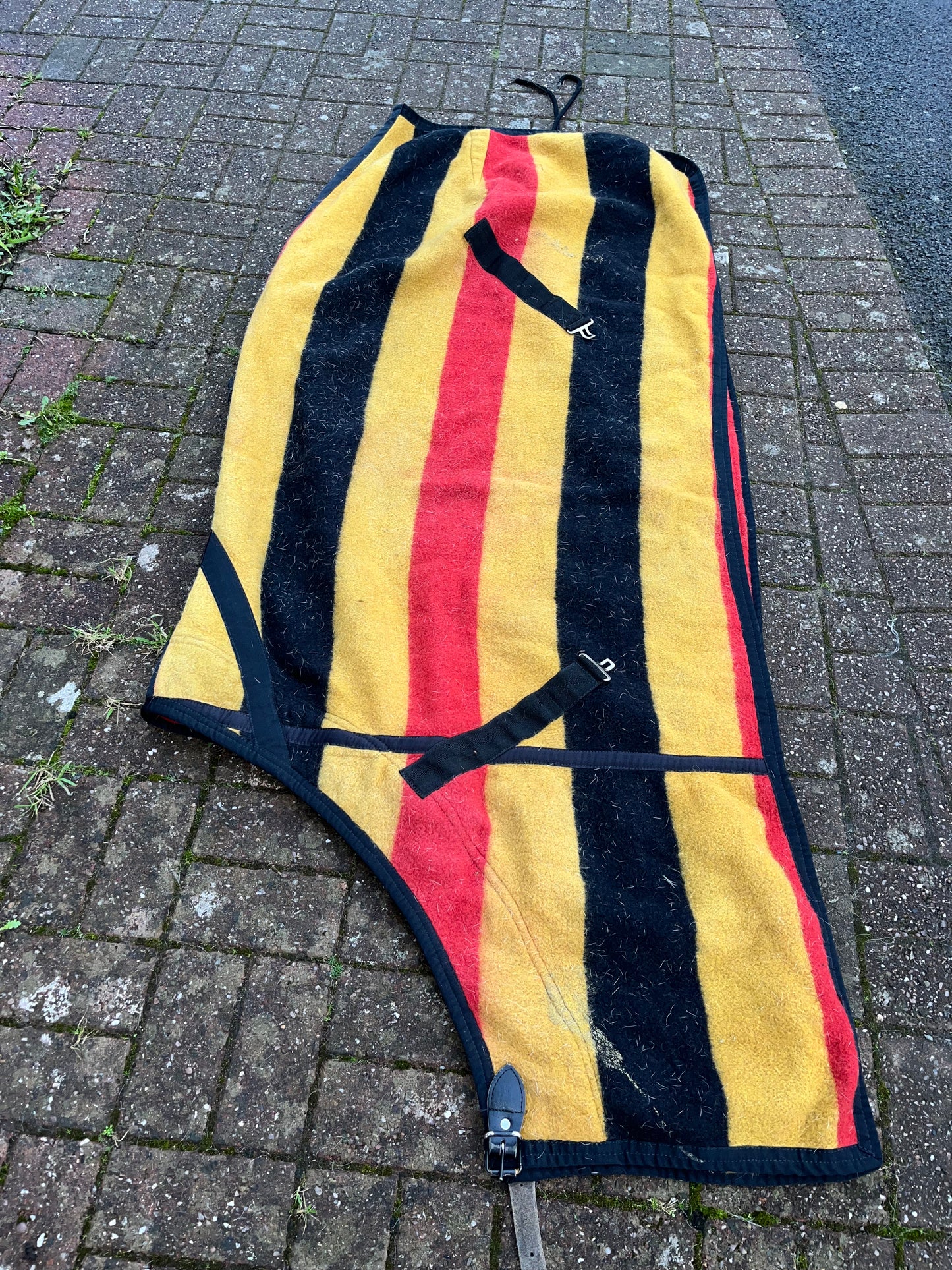 Newmarket Wool Rug 6’3