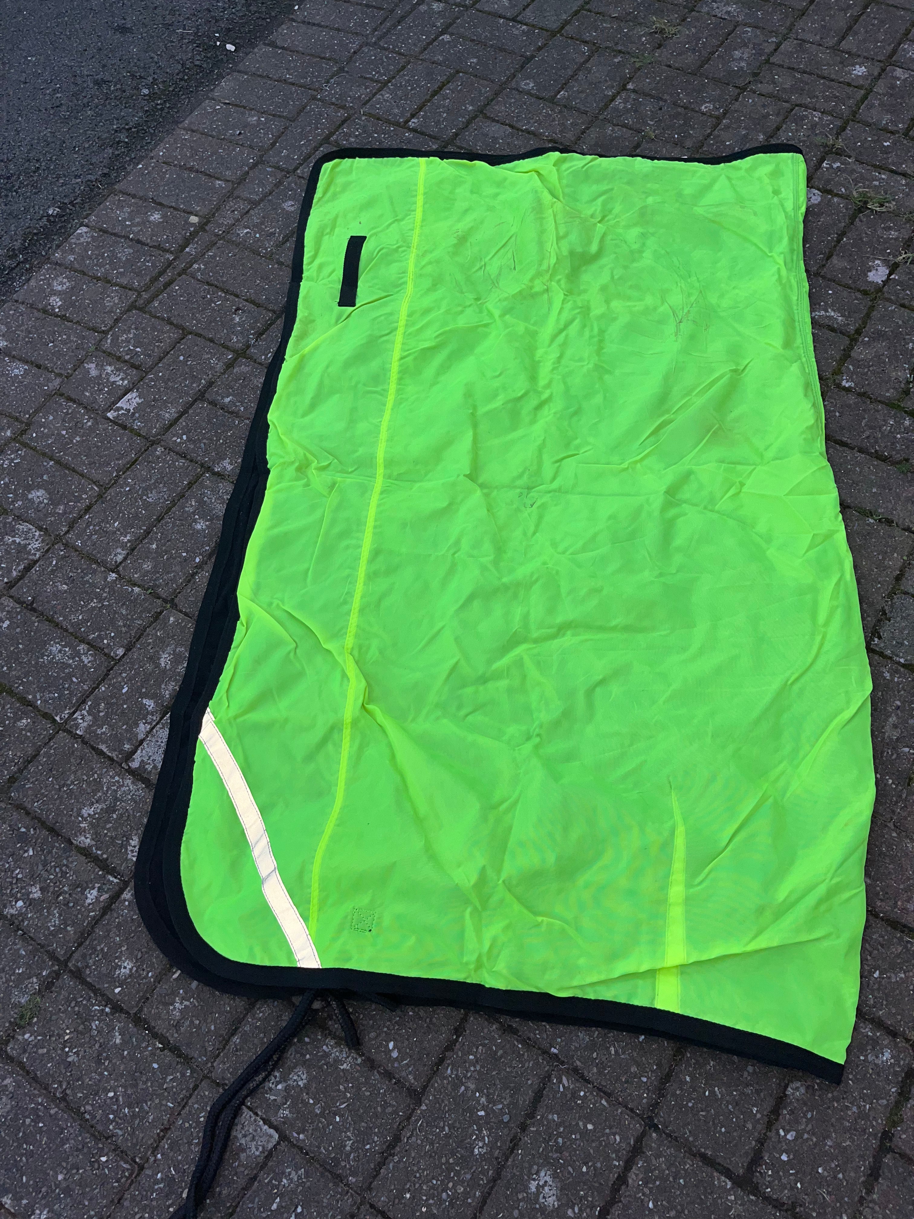 Hi - Viz Exercise Sheet Rug 4’9